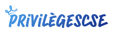 PRIVILEGES CSE